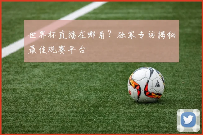 世界杯直播在哪看?独家专访揭秘最佳观赛平台