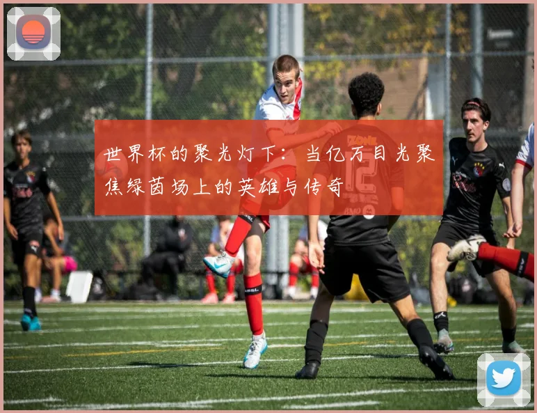 世界杯的聚光灯下：当亿万目光聚焦绿茵场上的英雄与传奇