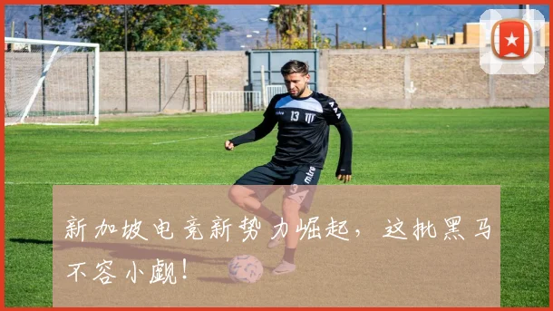 新加坡电竞新势力崛起,这批黑马不容小觑!